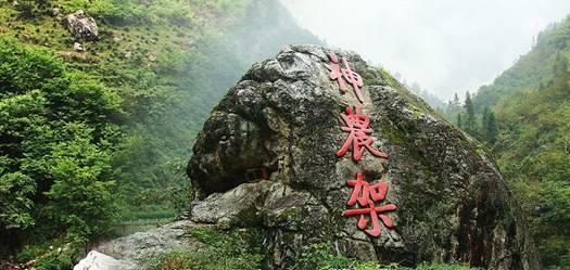 了解cmd怎么以管理员身份运行win11,最新资讯一网打尽